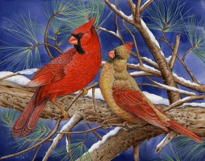 Cardinals