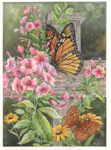 Monarch butterfly